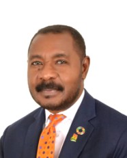 Nana Osei-Bonsu